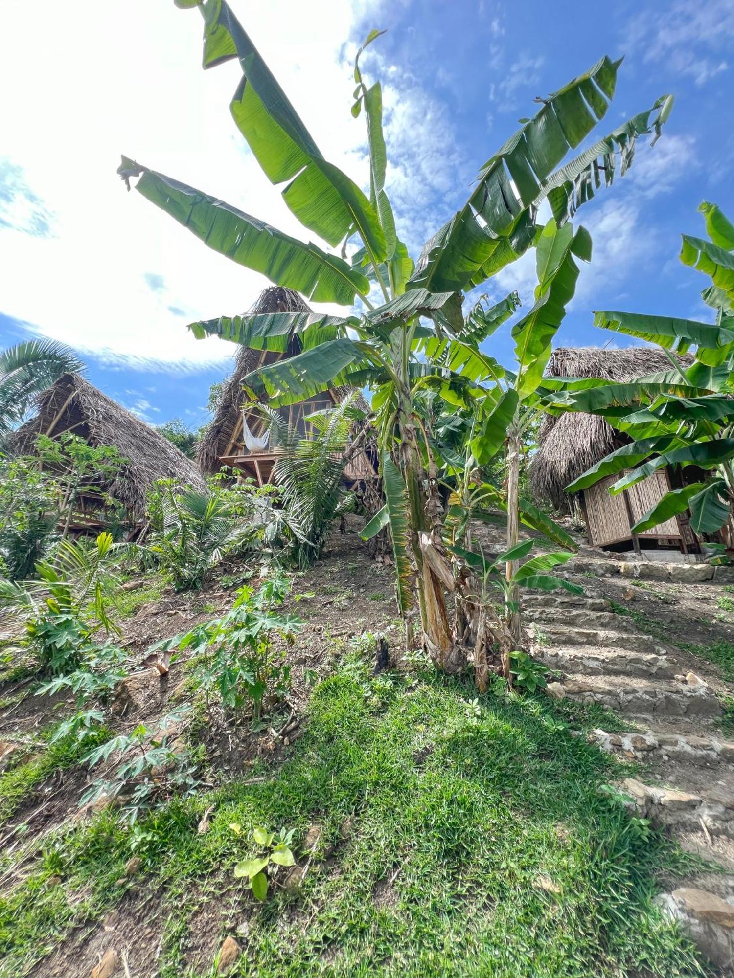 فندق Tierra Alta, Refugio De Montana, Sauce المظهر الخارجي الصورة